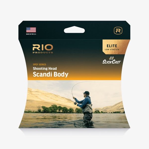 【リオ】 エリート スキャンディボディー 各種