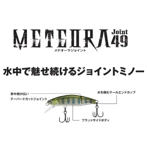 JACKSON ジャクソン メテオーラ 杜の家ブルック 通販