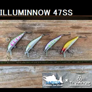 【トライアングル】 イルミノー 47SS