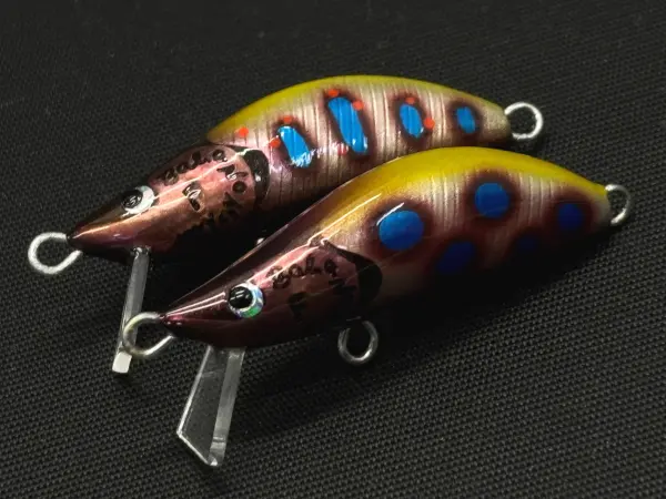 【Balsa No Moller】 47F