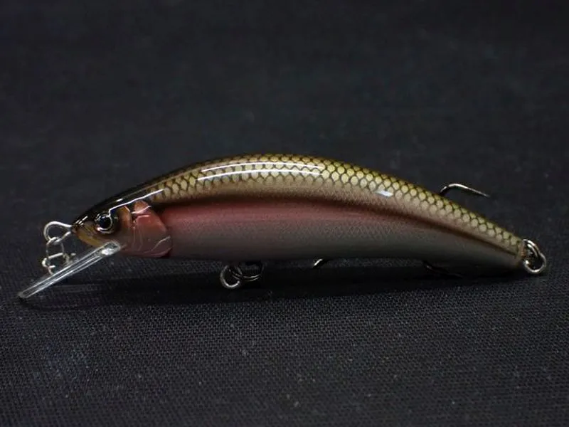 【レイチューン】フルハンドメイド バルサ62F カワムツ