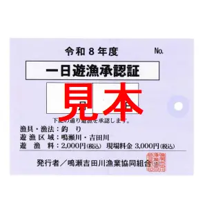 【遊漁証】 2026年度  鳴瀬吉田川漁業協同組合竿釣遊漁証 一日券