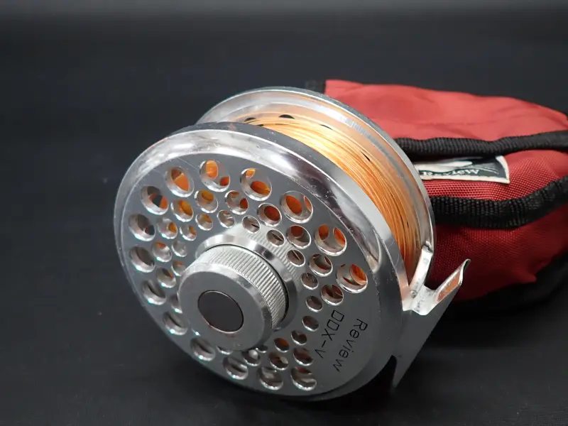 【レビュー】 DDX V 中古