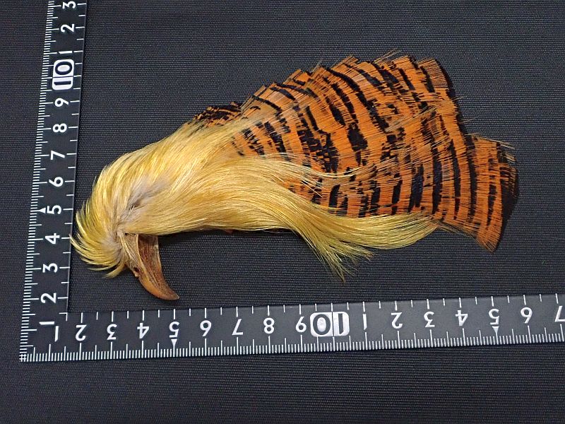 ゴールデンフェザント コンプリートネック 中古