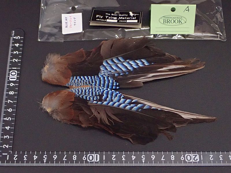 ブルージェイ ウィング A 中古