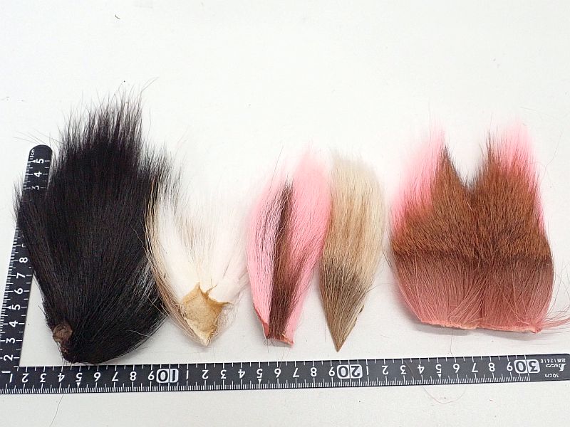 バックテール各色セット 中古