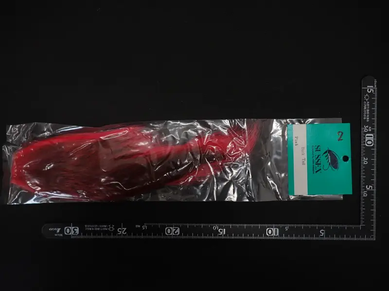 サセックス　バックテール　ピンク②中古