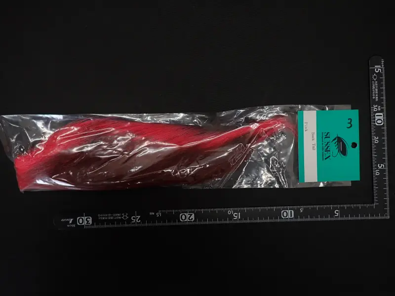 サセックス バックテール ピンク③ 中古