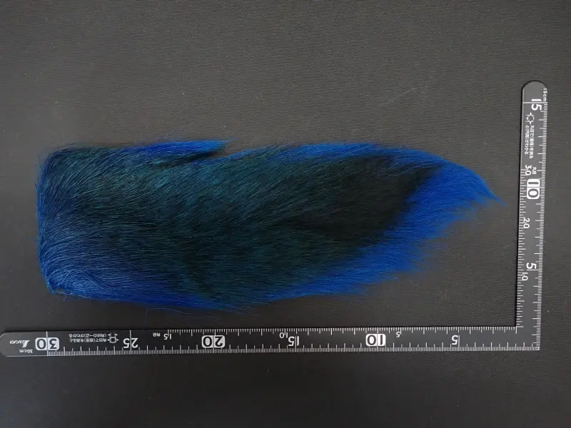 バックテール　ブルーL 中古