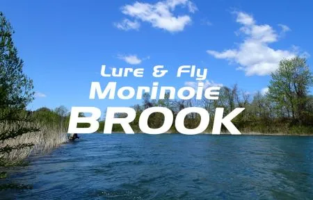 杜の家ブルック オンラインショップ