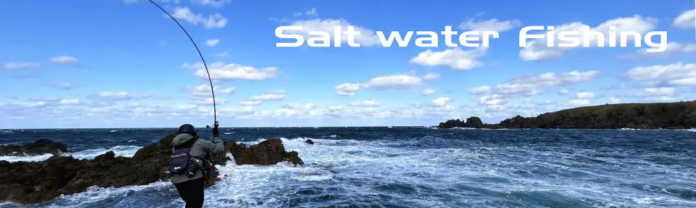MV